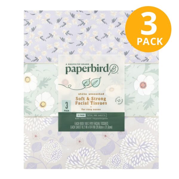 Paperbird Soft and Strong Facial Tissues, 160 CT (Pack de 3)