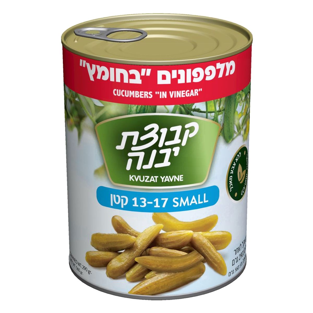 Kvutzat Yavne Pepinillos en Vinagre Pequeños 13-17 (Kosher), 560 gr
