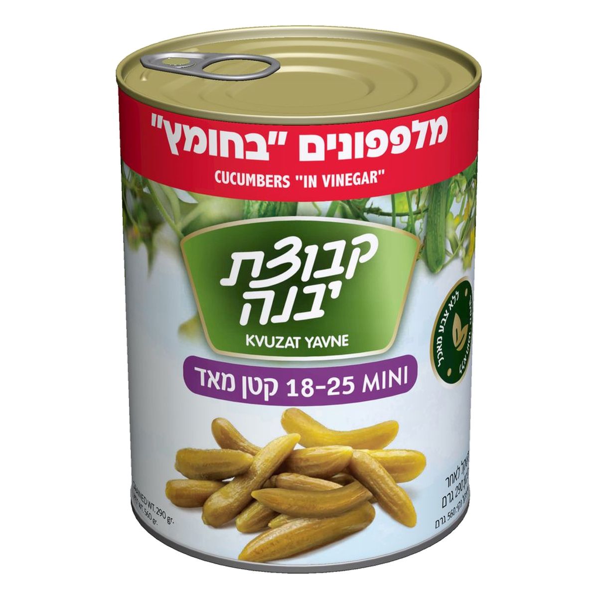 Kvutzat Yavne Pepinillos en Vinagre Mini 18-25 (Kosher), 560 gr