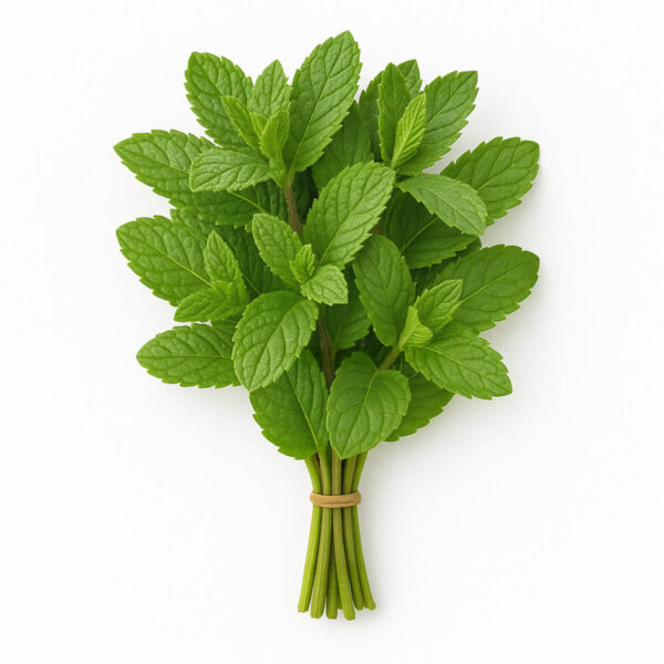 Hierbabuena Fresca, Verdes & Co (25 gr)