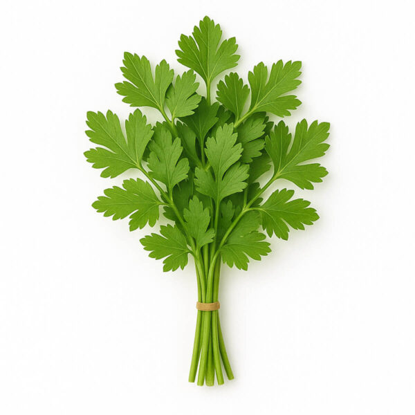 Perejil Italiano Fresco, Verdes & Co (25 gr)