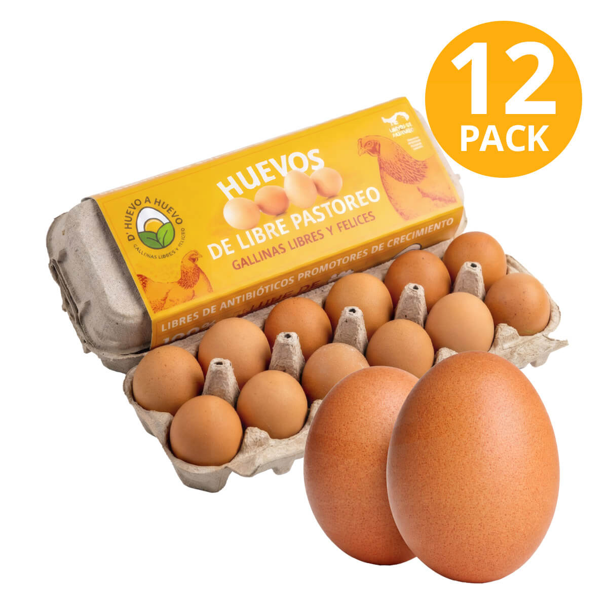 7452104360062 Huevos de Libre Pastoreo, D’ Huevo a Huevo, 12 Unidades - Imagen 1
