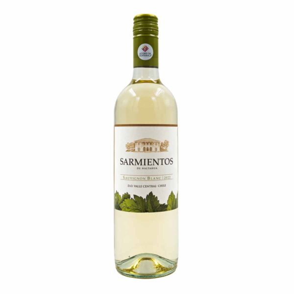 Sarmientos Sauvignon Blanc, Vino Blanco, 750 ml
