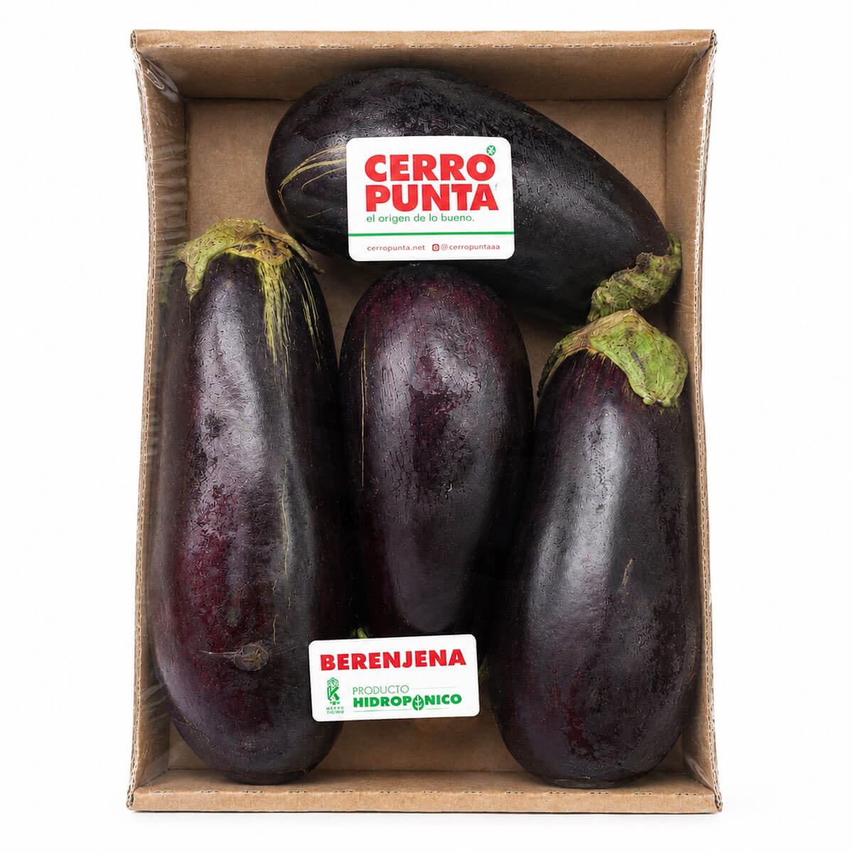 berencerro Berenjena Morada en Bandeja, Cerro Punta, 700 gr - Imagen 1