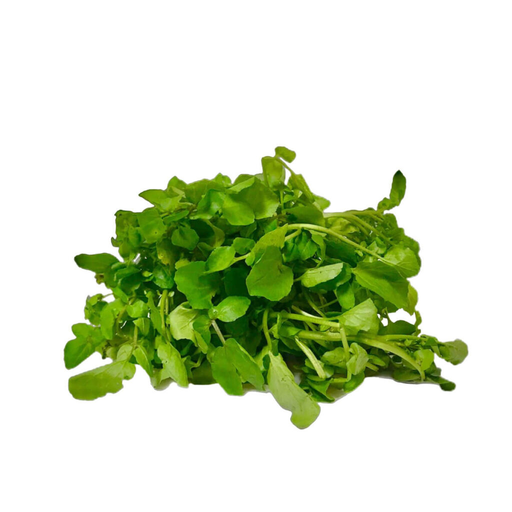 Berro, 1 kg - Superunico - El Supermercado 100% Online de Panamá