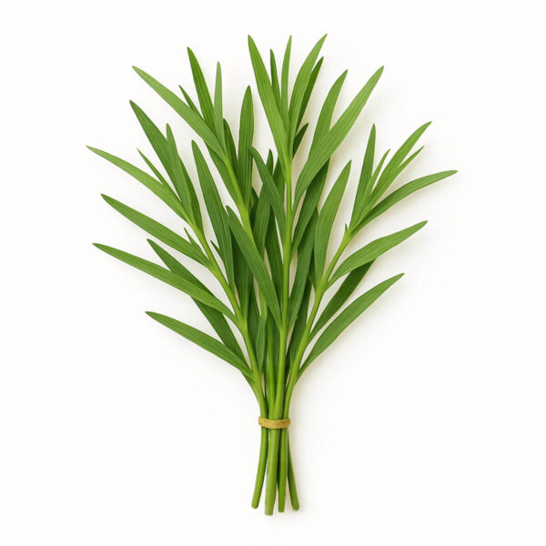 Estragón Fresco, Verdes & Co (25 gr)